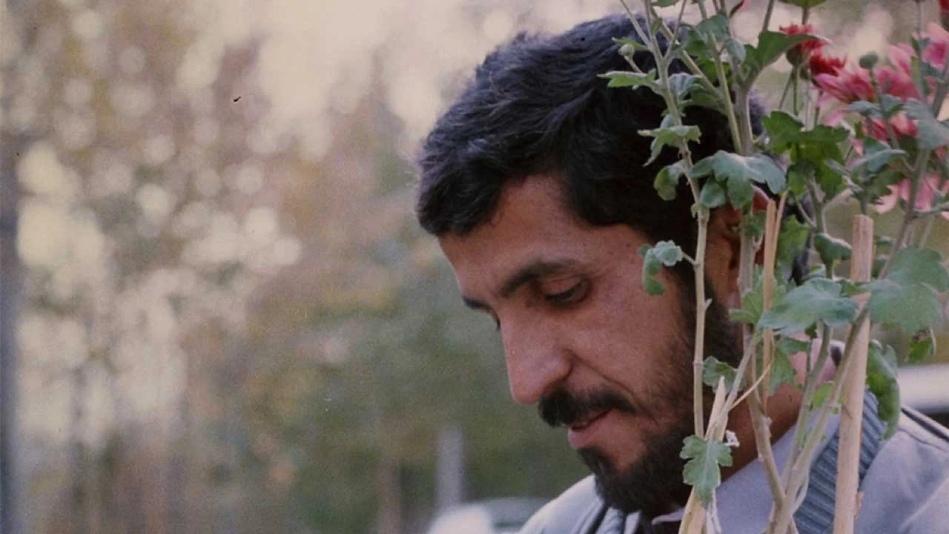 دانلود فیلم Close-Up 1990