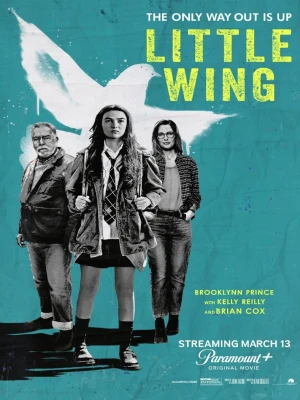 دانلود فیلم Little Wing