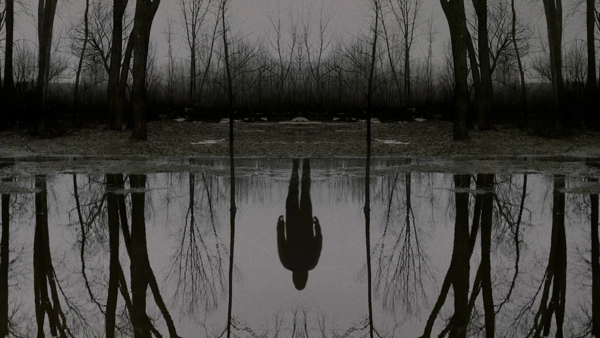 دانلود سریال The Outsider