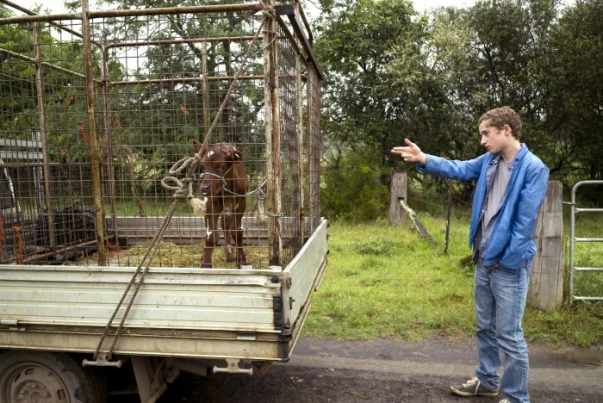 Nicholas Bakopoulos-Cooke